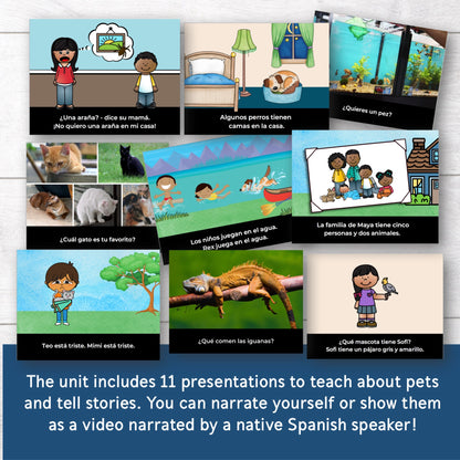 Pets in Spanish Unit - Comprehensible Spanish Activities About Animals - Elementary