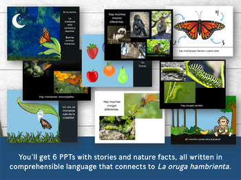 Orugas y Mariposas: A PreK Spanish Unit