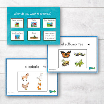 Pets, Bugs, Zoo, Ocean, and Farm Animals Boom Cards in Spanish
